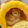 Content ginger cat nestled inside a cozy, plush honey jar pet bed with soft yellow interior.